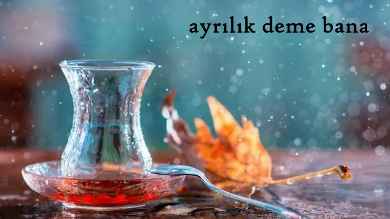 You are currently viewing Ayrılık Deme Bana