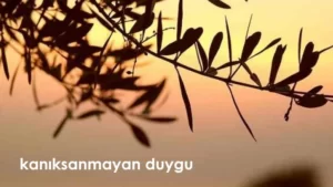 Read more about the article Kanıksanmayan Duygu
