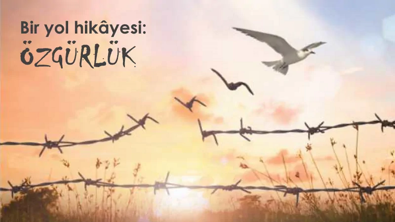 Read more about the article Bir Yol Hikâyesi: Özgürlük