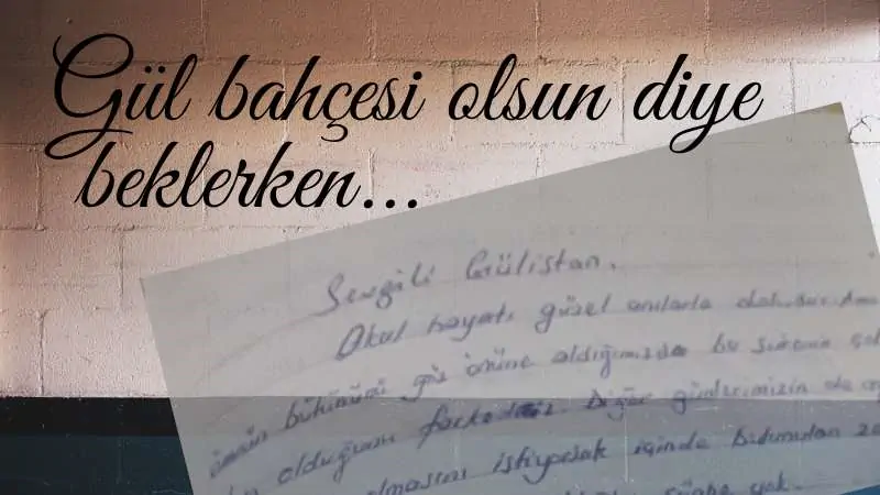 Read more about the article Gül Bahçesi Olsun Diye Beklerken…