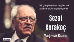Read more about the article Bilinmeyen Şiirler: Sezai Karakoç – Yağmur Duası