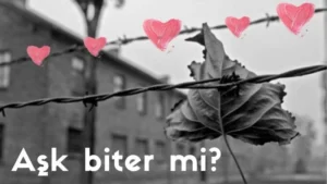 Read more about the article Aşk Biter mi?