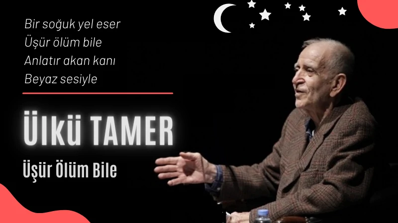 Read more about the article Bilinmeyen Şiirler: Ülkü Tamer – Üşür Ölüm Bile