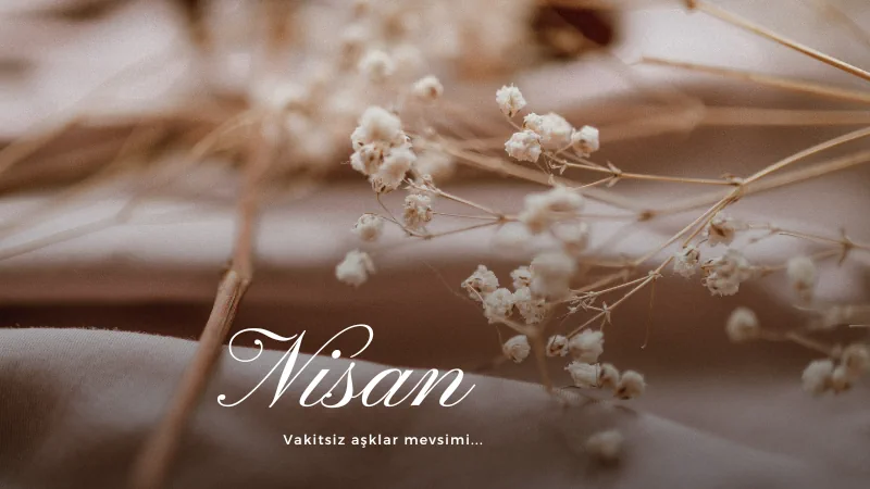 Read more about the article Nisandı