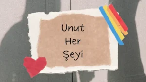 Read more about the article Unut Her Şeyi