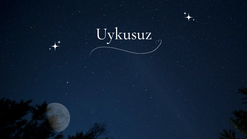Read more about the article Uykusuz