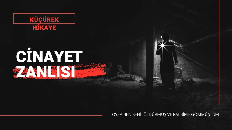 Read more about the article Cinayet Zanlısı