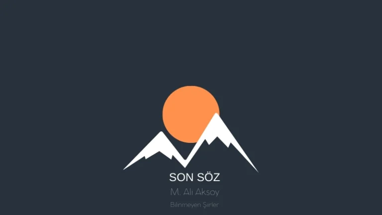 son söz m. ali aksoy