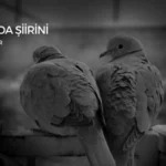 o sevda şiirini