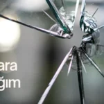 duvara astığım