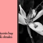 anlamadığın şiirler