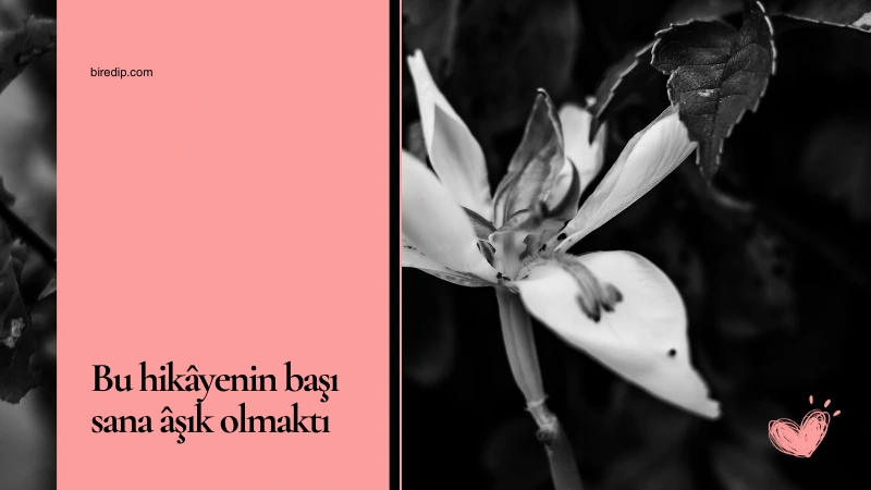 Anlamadığın Şiirler