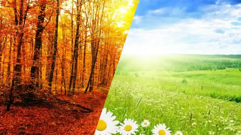 Eylül Belki de Nisandır